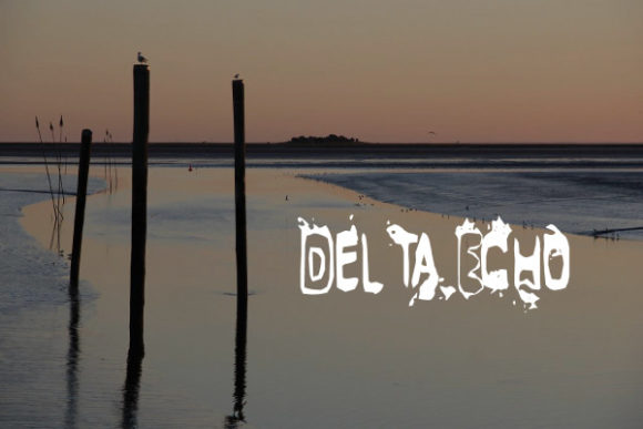 Delta Echo: Igniting Your Design with Fiery Personality