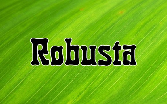 Discovering Robusta: The Dynamic Font for Modern Creators